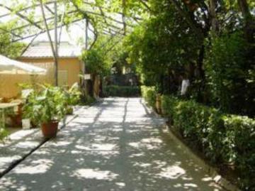 Fiori D'arancio Camping 3*